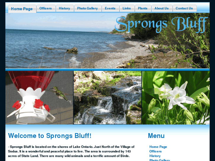 www.sprongsbluff.com