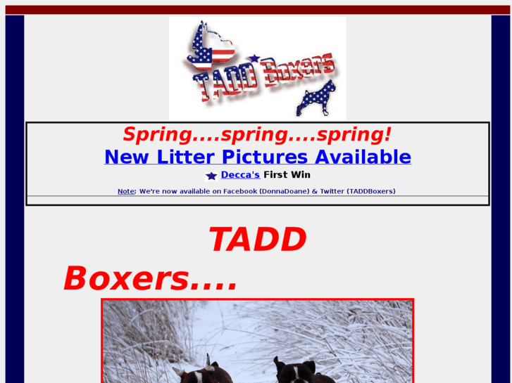 www.taddboxers.com