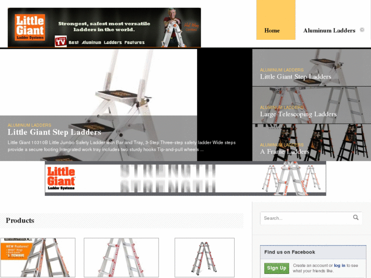 www.bestaluminumladders.com