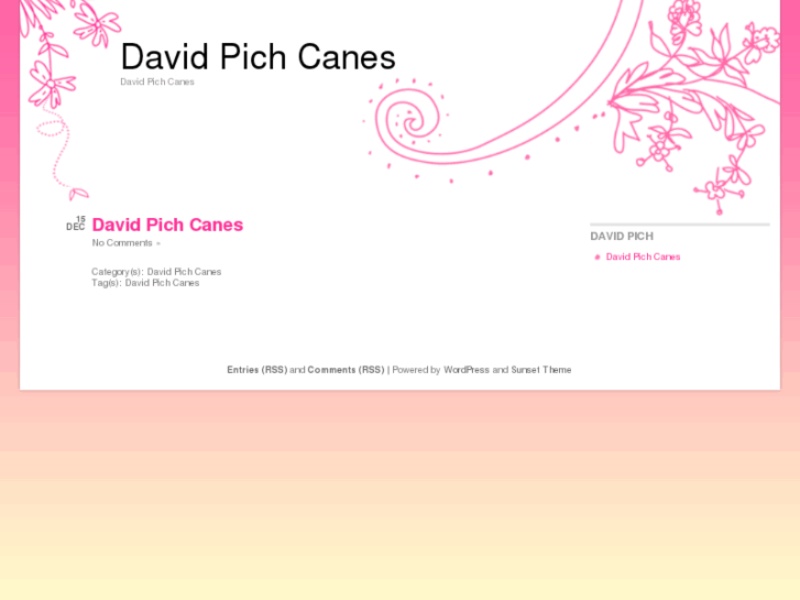 www.davidpichcanes.com