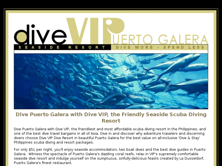 www.divevip.com