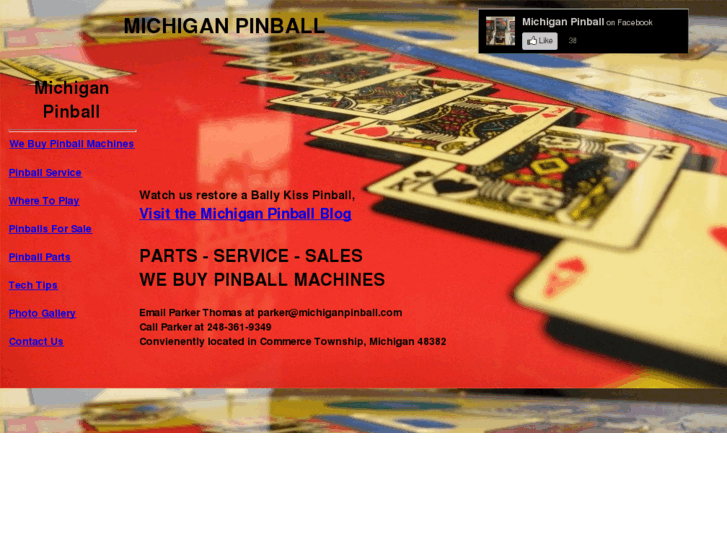 www.michiganpinball.com