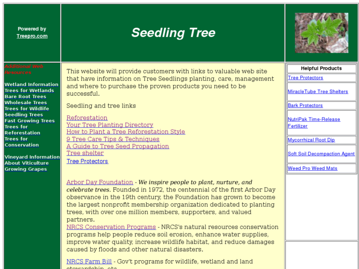 www.seedlingtree.com