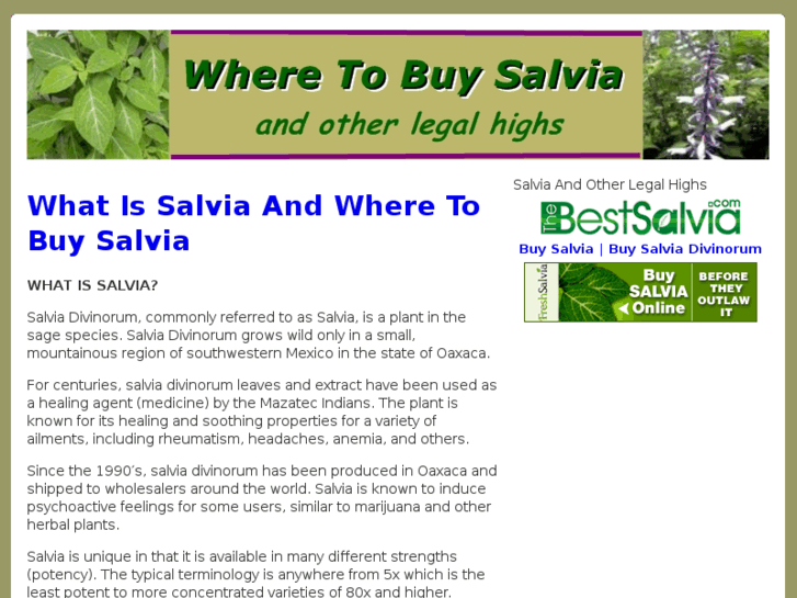 www.wheretobuysalvia.com