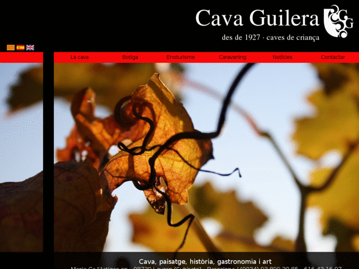 www.cavaguilera.com