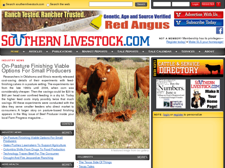 www.southernlivestock.com