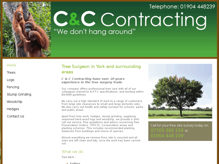 www.treefix.co.uk