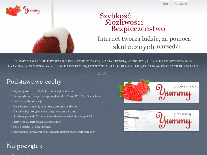 www.ycms.pl