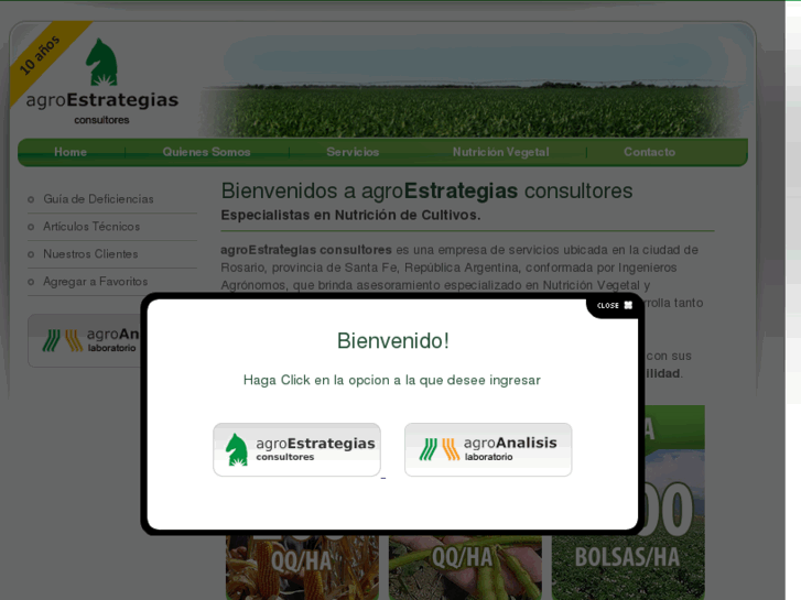 www.agroestrategias.com