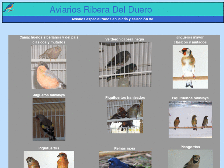 www.aviariosriberadelduero.es