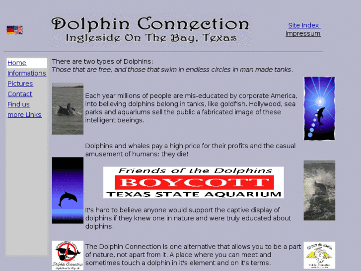 www.dolphin-connection.org