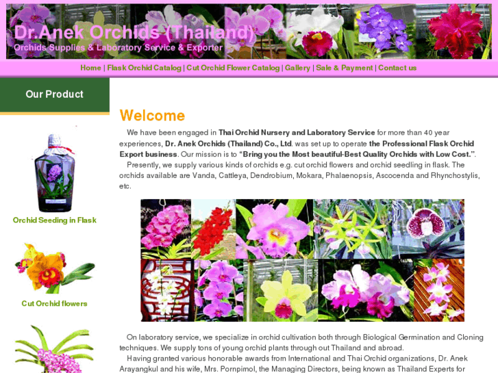 www.orchidexport-lab.com