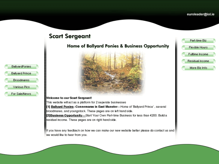 www.scartsergeant.com