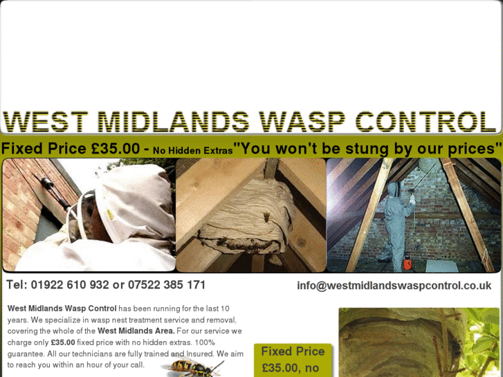 www.westmidlandswaspcontrol.com