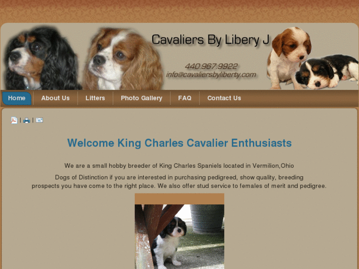 www.cavaliersbyliberty.com