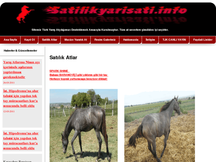 www.satilikyarisati.info