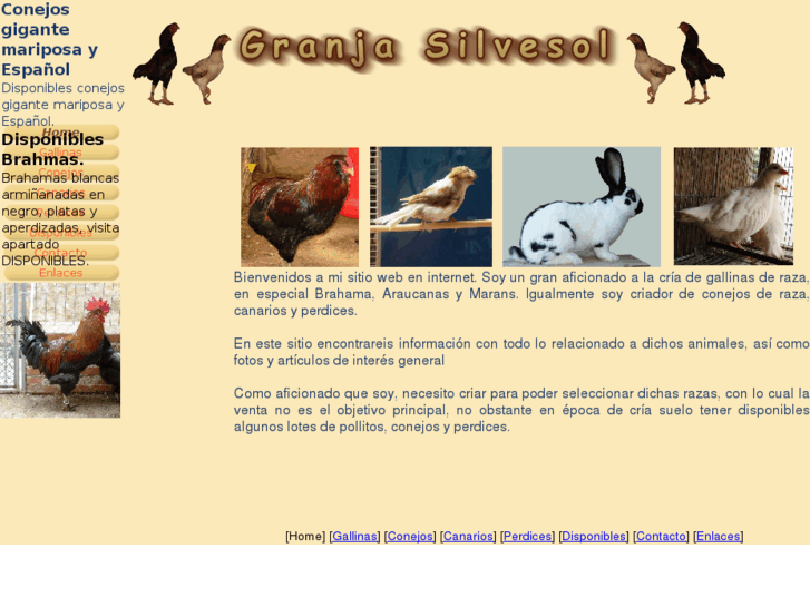 www.silvesol.es