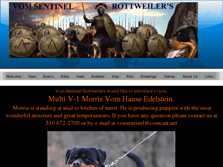 www.vomsentinelrottweilers.com