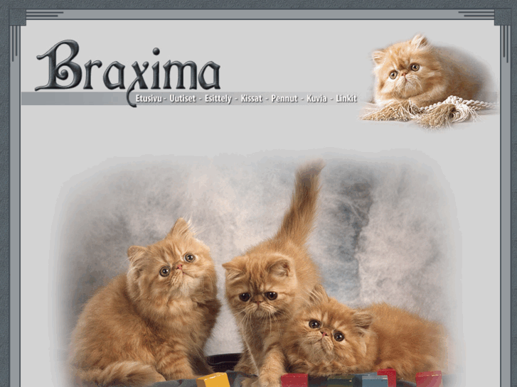 www.braxima.net