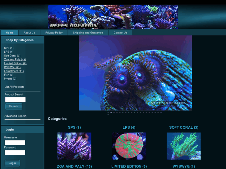 www.reefscreation.com