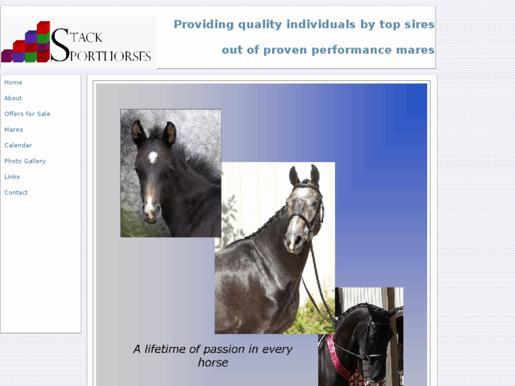 www.stacksporthorses.com