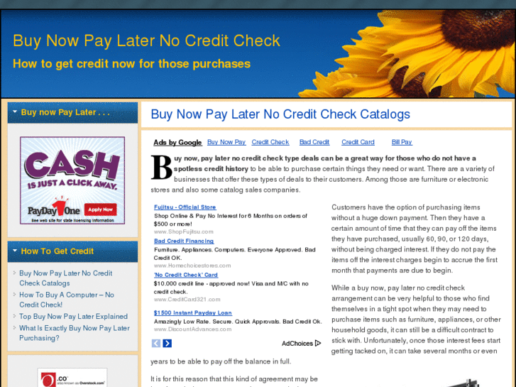 www.buynowpaylaternocreditcheck.com