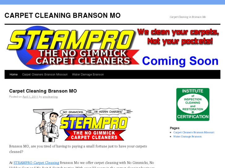 www.carpetcleaningbransonmo.com