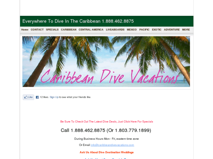 www.caribbeandivevacations.com