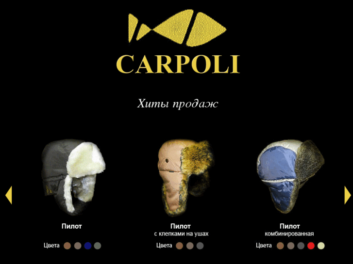 www.carpoli.net