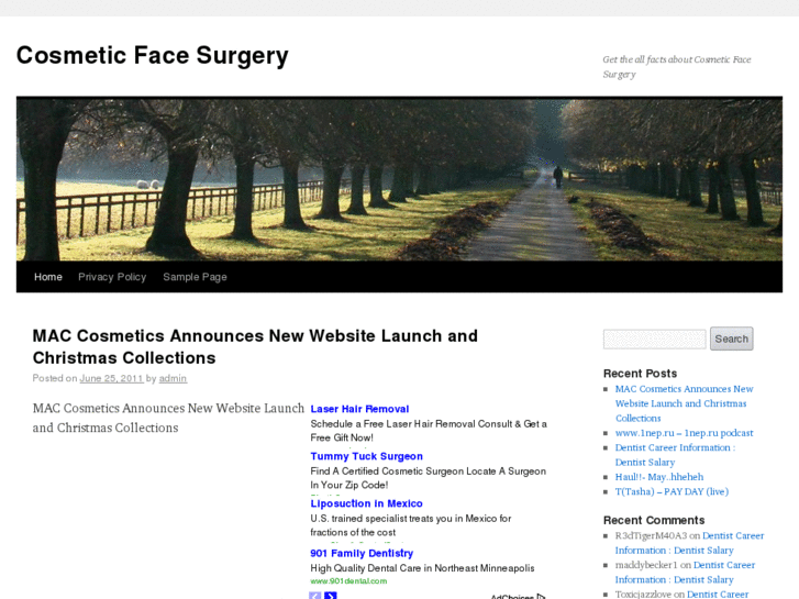 www.cosmeticfacesurgery.info