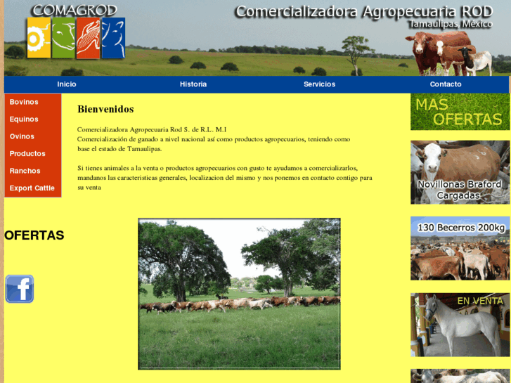 www.ganadotamaulipas.com