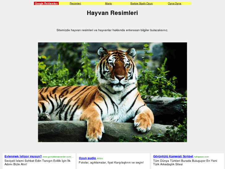 www.hayvanresimleri.info