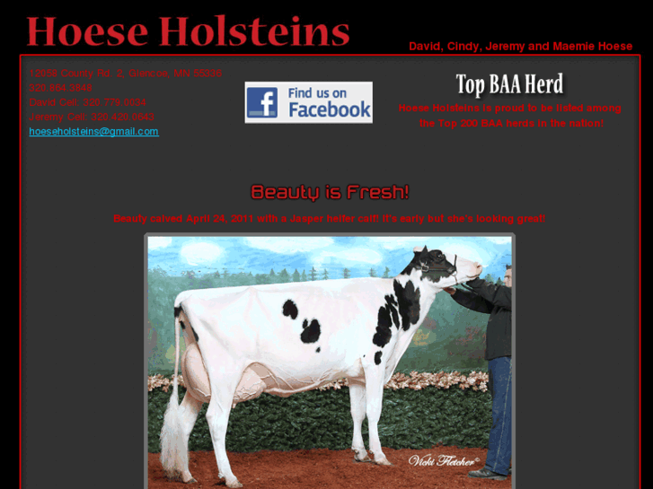 www.hoeseholsteins.com