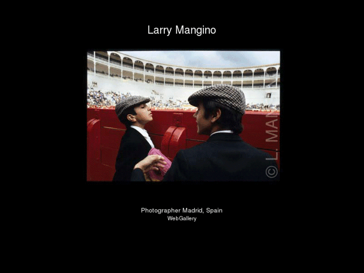 www.larrymangino.com