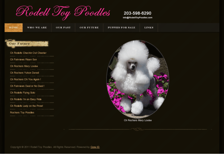 www.rodelltoypoodles.com