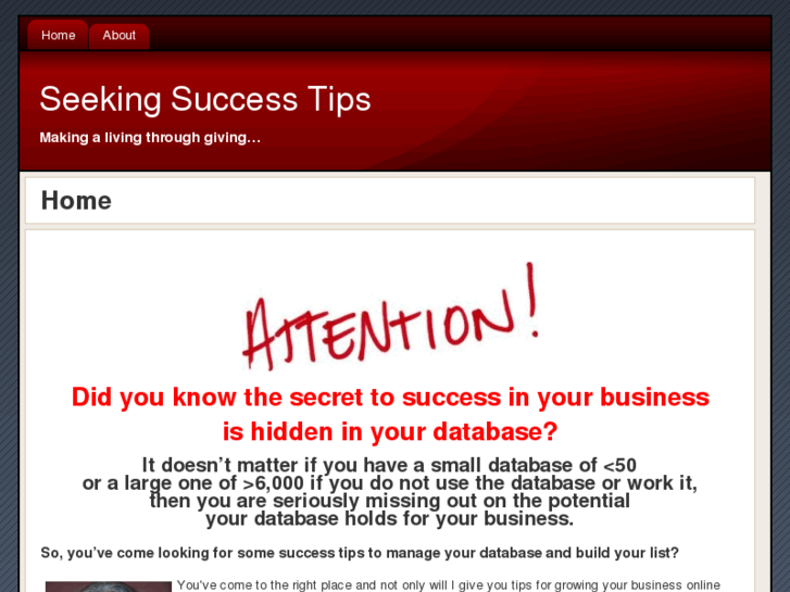 www.seekingsuccesstips.com