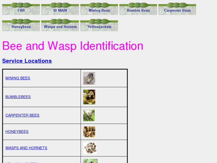 www.wildbee-id.com