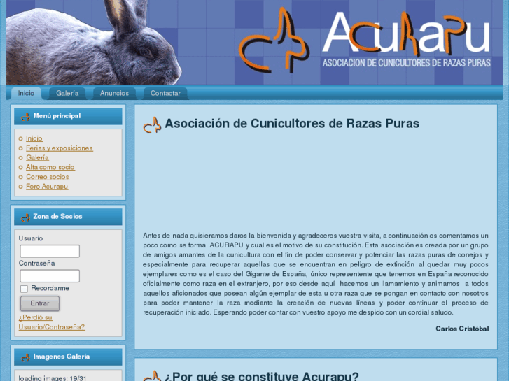 www.acurapu.com