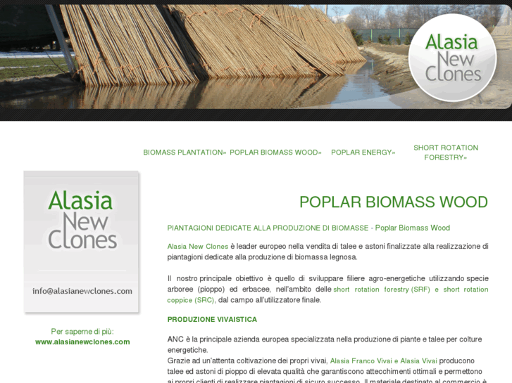 www.poplarbiomasswood.com