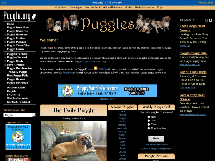 www.puggledog.net