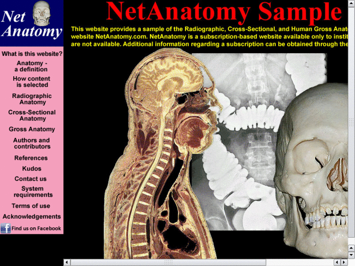 www.webanatomy.com