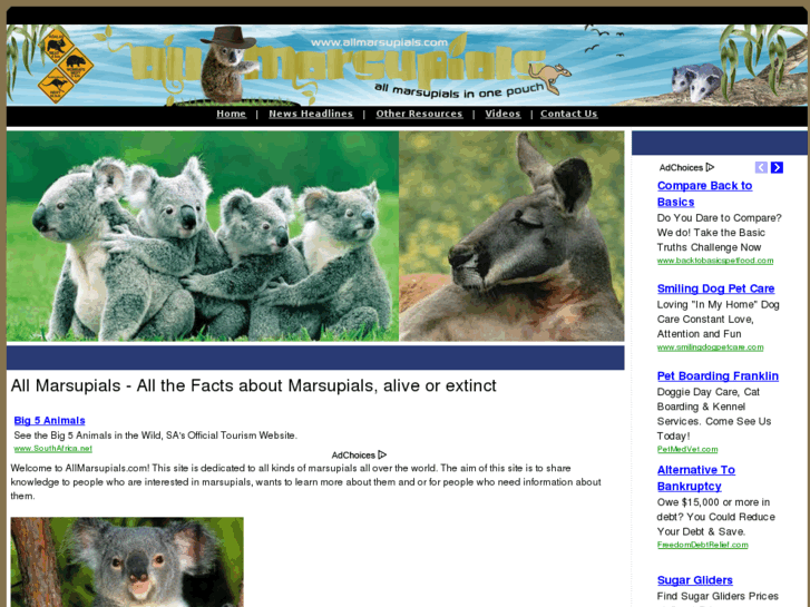 www.allmarsupials.com