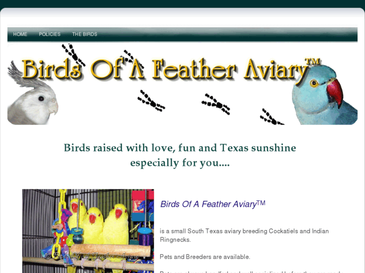 www.birdsofafeatheraviary.com