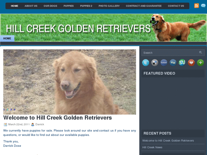 www.hillcreekgoldenretrievers.com