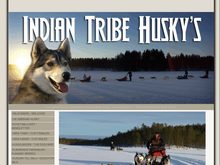 www.indiantribe.se