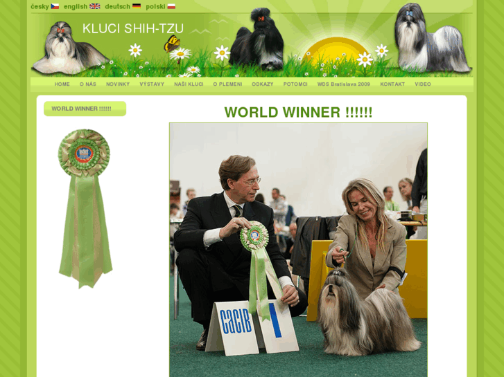 www.klucishih-tzu.com