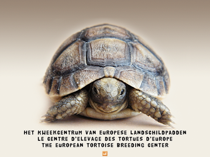 www.landschildpadden.com