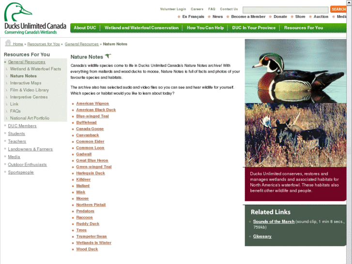 www.marshnotes.com