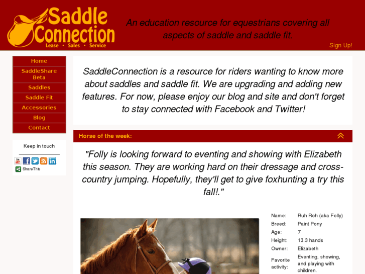 www.saddleconnection.com