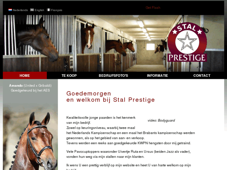 www.stalprestige.nl